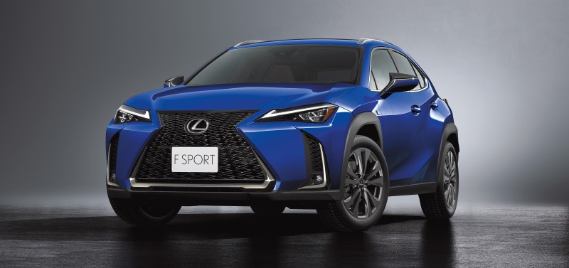 LEXUS UX 250h 