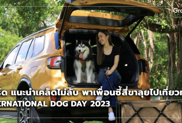 International Dog Day 2023 วันสุนัขโลก