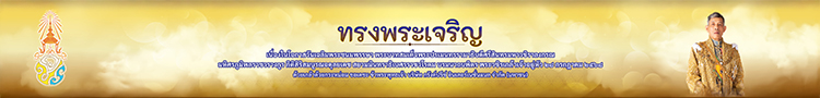 Header Banner